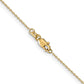 . Diamond-cut Cable with Lobster Clasp Chain - WBC