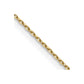 . Diamond-cut Cable with Lobster Clasp Chain - WBC