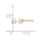 Madi K 3- Round Freshwater Cultured Pearl Post Earrings with Silicone Backs - WBC