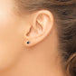 1/4 carat Black Diamond Stud Earrings - WBC