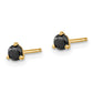 1/3 carat Black Diamond Stud Earrings - WBC