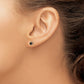 3/8 carat Black Diamond Stud Earrings - WBC