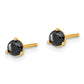 1/2 carat Black Diamond Stud Earrings - WBC