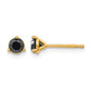1/2 carat Black Diamond Stud Earrings - WBC