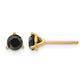 3/4 carat Black Diamond Stud Earrings - WBC
