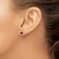 3/4 carat Black Diamond Stud Earrings - WBC