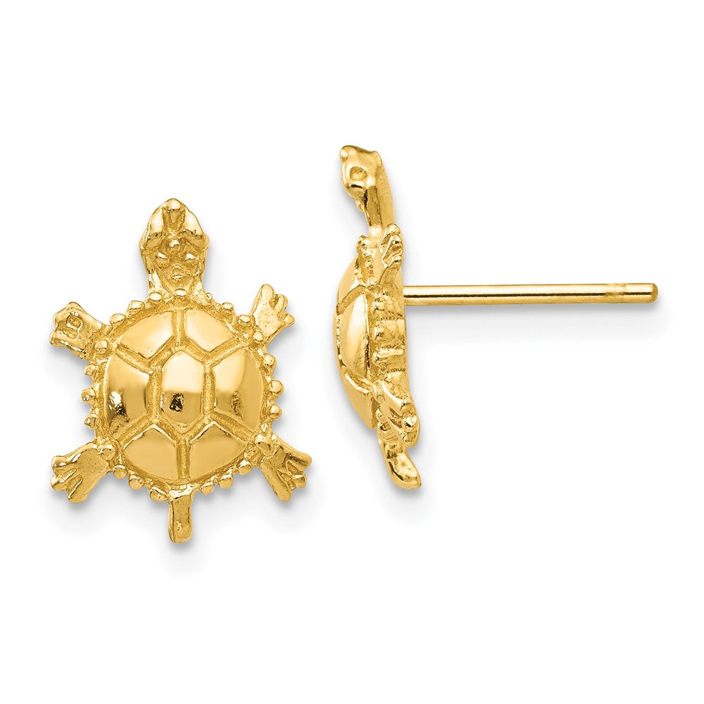 Polished Turtle Post Earrings - WBC