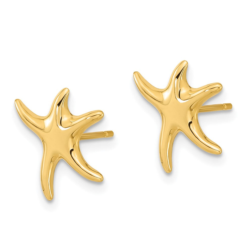 Polished Starfish Post Earrings - WBC
