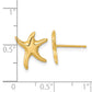 Polished Starfish Post Earrings - WBC