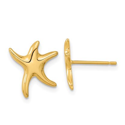 Polished Starfish Post Earrings - WBC