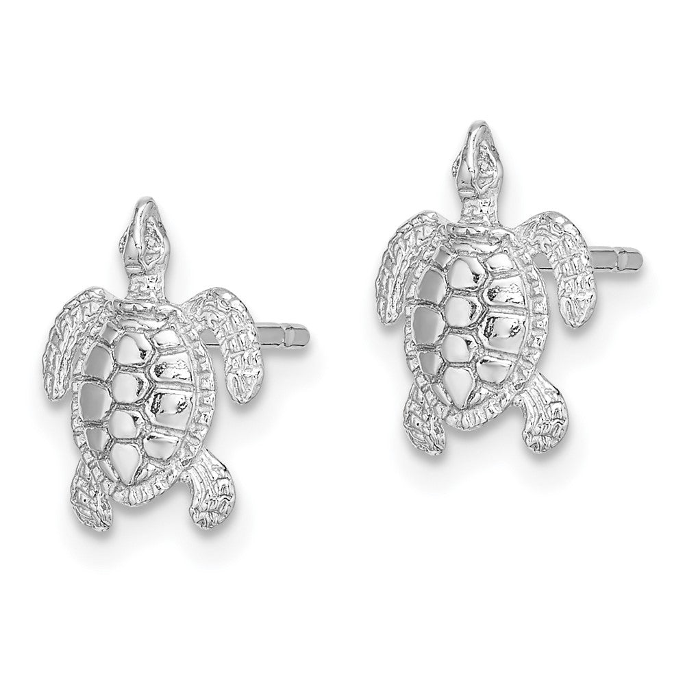 Polished and Textured Sea Turtle Post Earrings - WBC