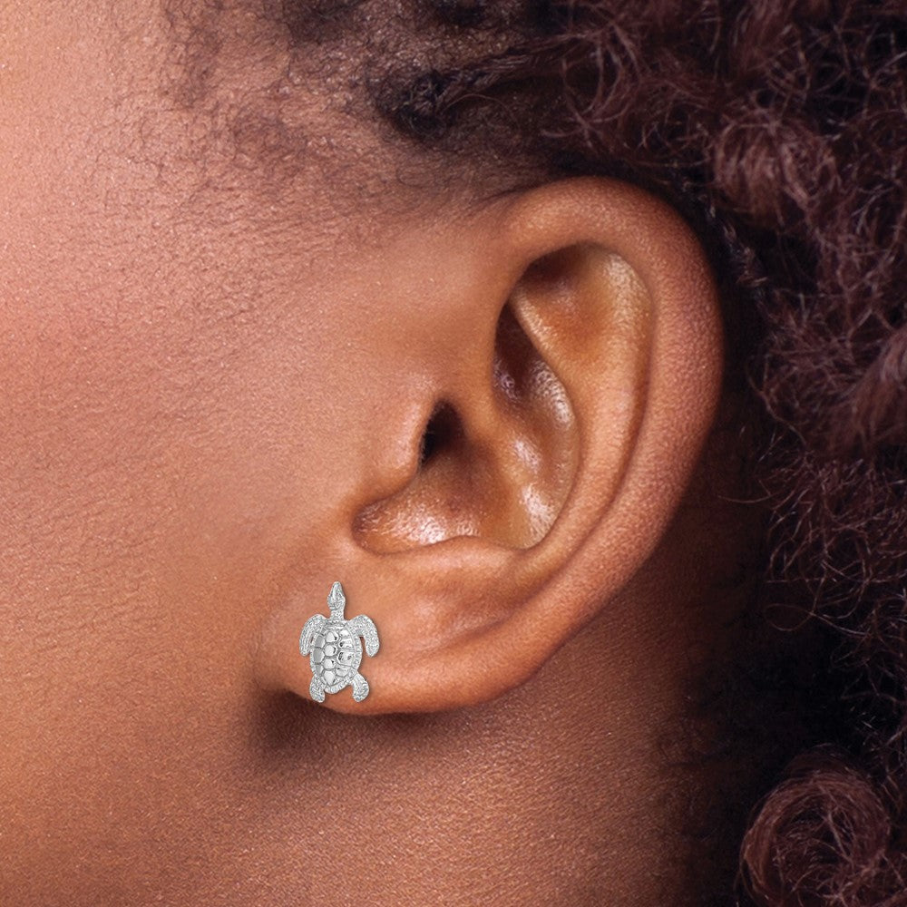Polished and Textured Sea Turtle Post Earrings - WBC