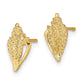Mini Conch Shell Post Earrings - WBC