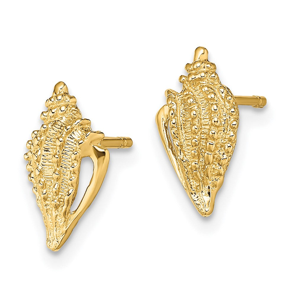 Mini Conch Shell Post Earrings - WBC
