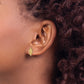 Mini Conch Shell Post Earrings - WBC