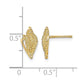 Mini Conch Shell Post Earrings - WBC