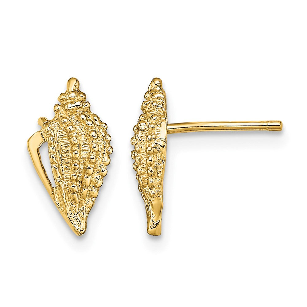 Mini Conch Shell Post Earrings - WBC