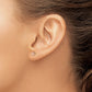 with Post Flower Post Earrings - WBC