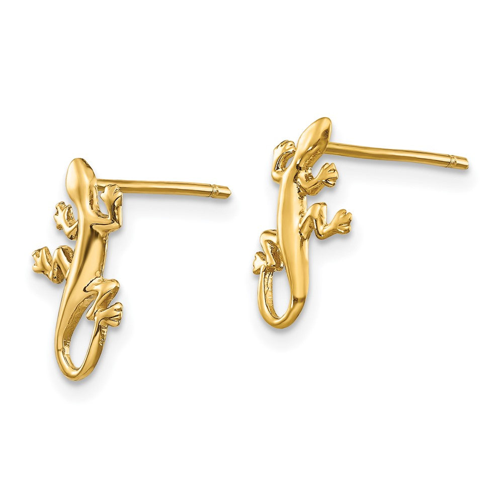 Polished Gecko Post Earrings - WBC