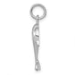 Dolphin Charm - WBC