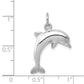 Dolphin Charm - WBC
