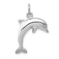 Dolphin Charm - WBC