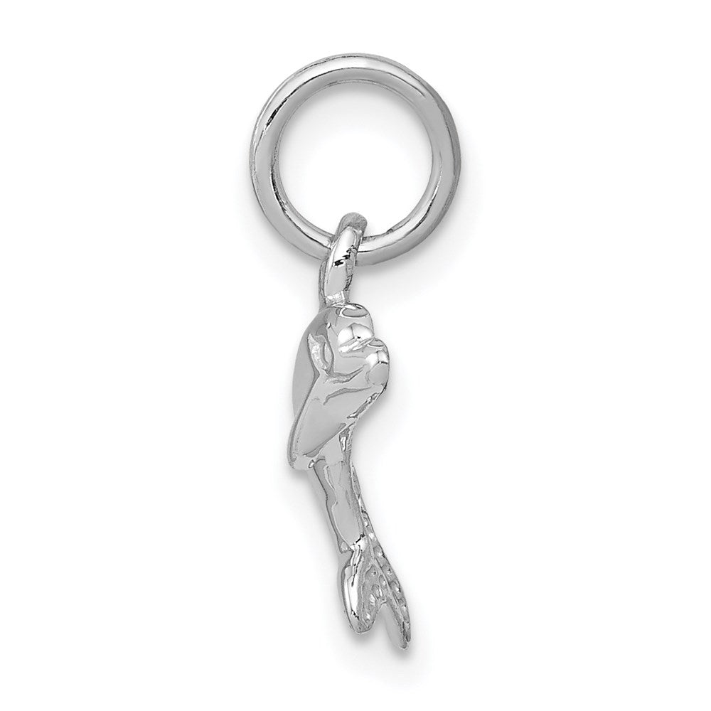 Dolphin Charm - WBC