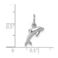 Dolphin Charm - WBC