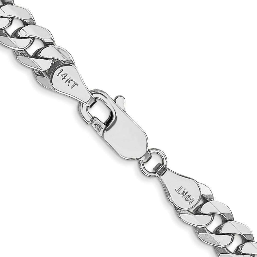 Flat Beveled Curb with Lobster Clasp Chain - WBC