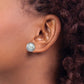 12- Grey Button Freshwater Cultured Pearl Stud Post Earrings - WBC