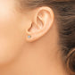 AAA Quality Complete Princess-cut Diamond Earrings - WBC