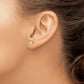 AAA Quality Complete Princess-cut Diamond Earrings - WBC