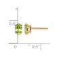 6x4 Oval August/Peridot Post Earrings - WBC