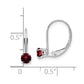 Round January/Garnet Leverback Earrings - WBC