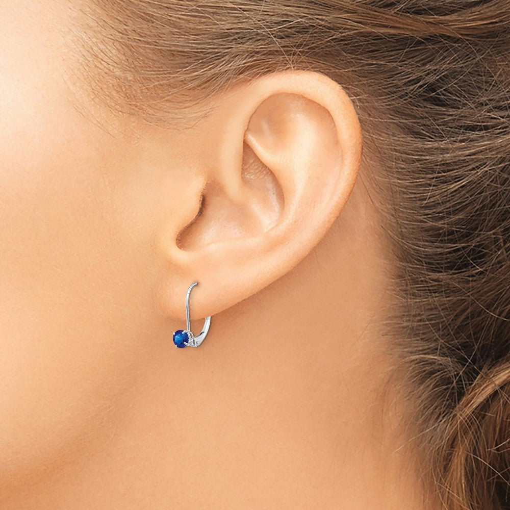 Round September/Sapphire Leverback Earrings - WBC