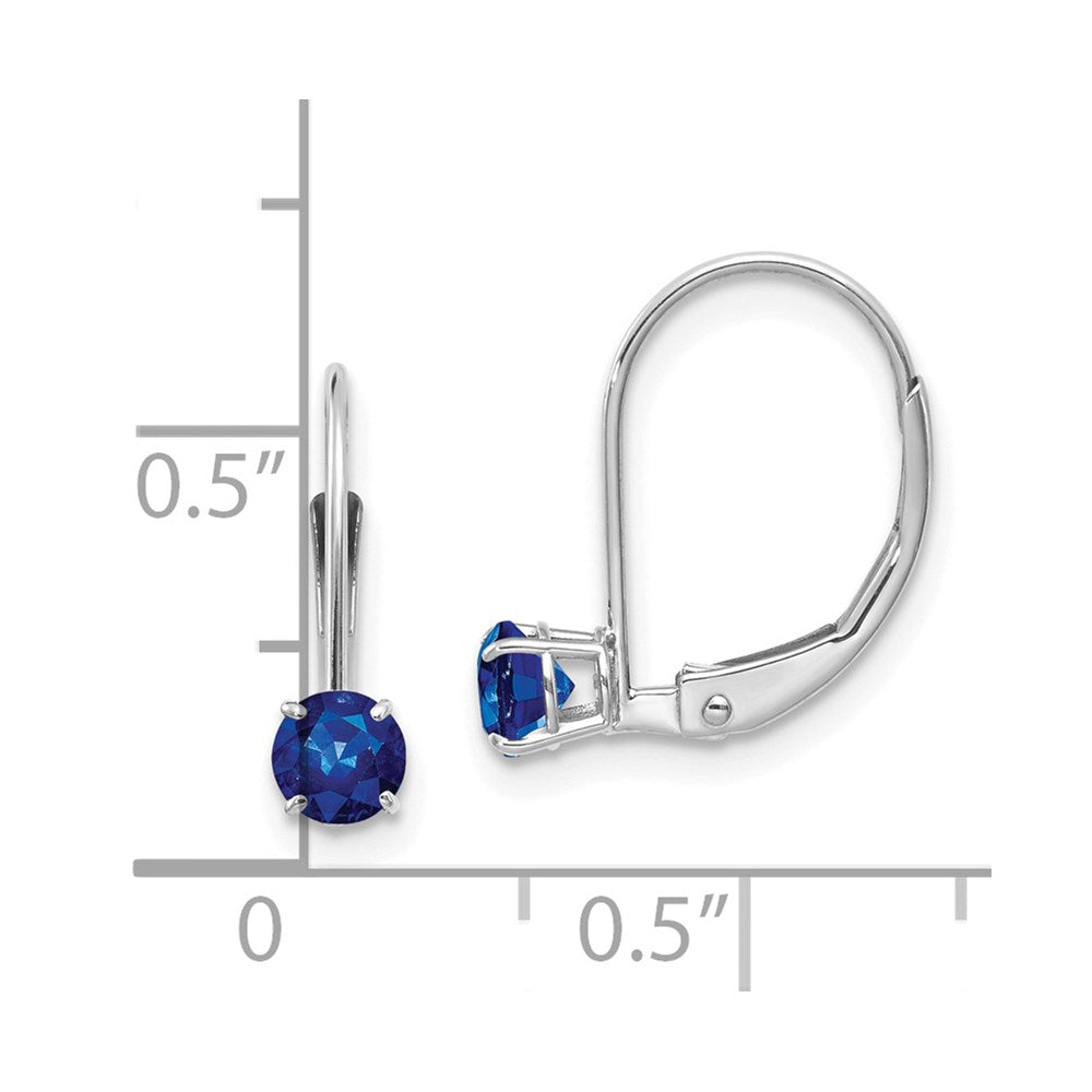 Round September/Sapphire Leverback Earrings - WBC