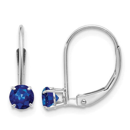 Round September/Sapphire Leverback Earrings - WBC