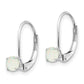 Round October/Opal Leverback Earrings - WBC