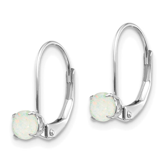 Round October/Opal Leverback Earrings - WBC