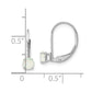 Round October/Opal Leverback Earrings - WBC