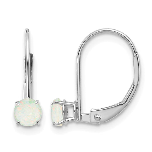 Round October/Opal Leverback Earrings - WBC