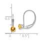 Round November/Citrine Leverback Earrings - WBC