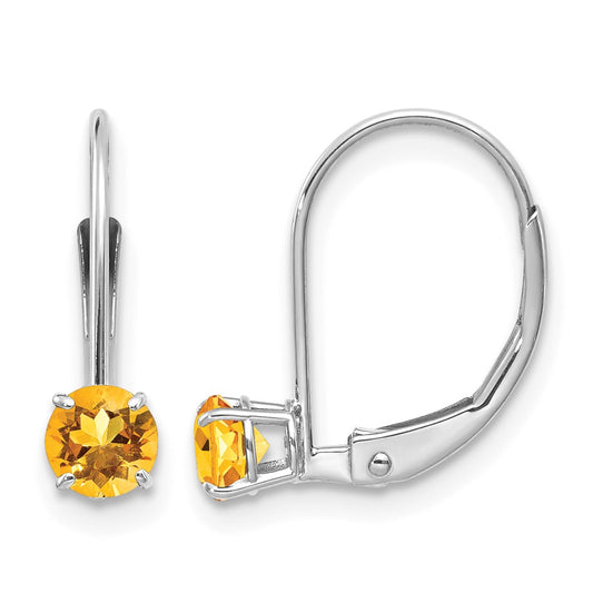 Round November/Citrine Leverback Earrings - WBC