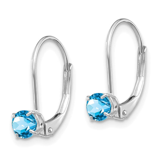 Round December/Blue Topaz Leverback Earrings - WBC
