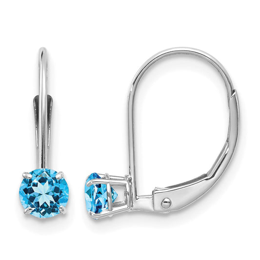Round December/Blue Topaz Leverback Earrings - WBC