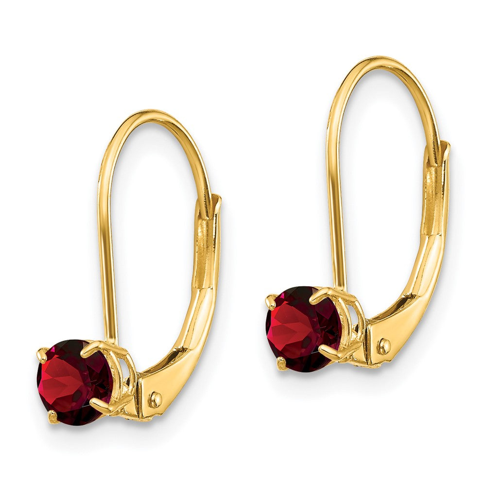 Round January/Garnet Leverback Earrings - WBC