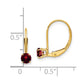 Round January/Garnet Leverback Earrings - WBC
