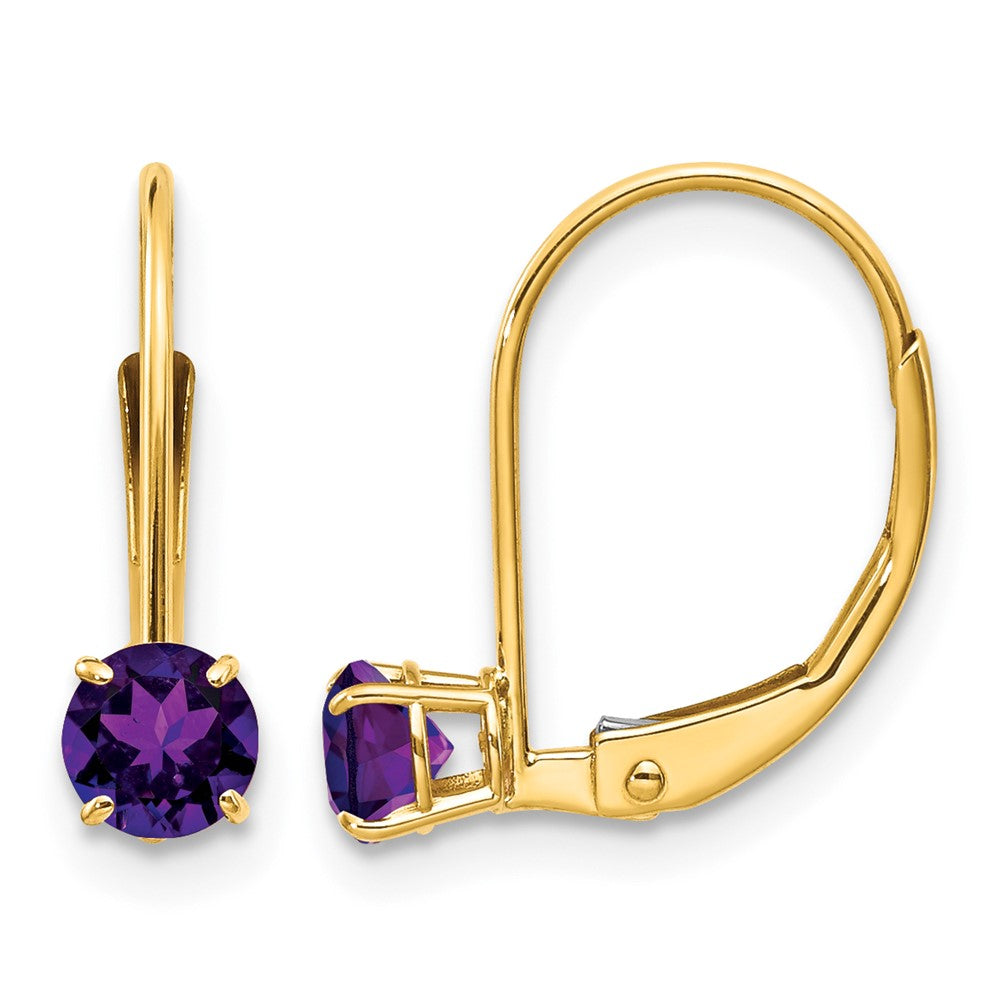 Round February/Amethyst Leverback Earrings - WBC