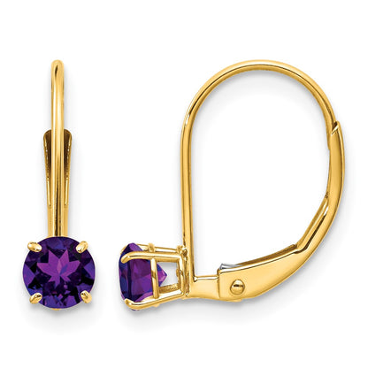 Round February/Amethyst Leverback Earrings - WBC