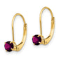 Round June/Rhodolite Garnet Leverback Earrings - WBC